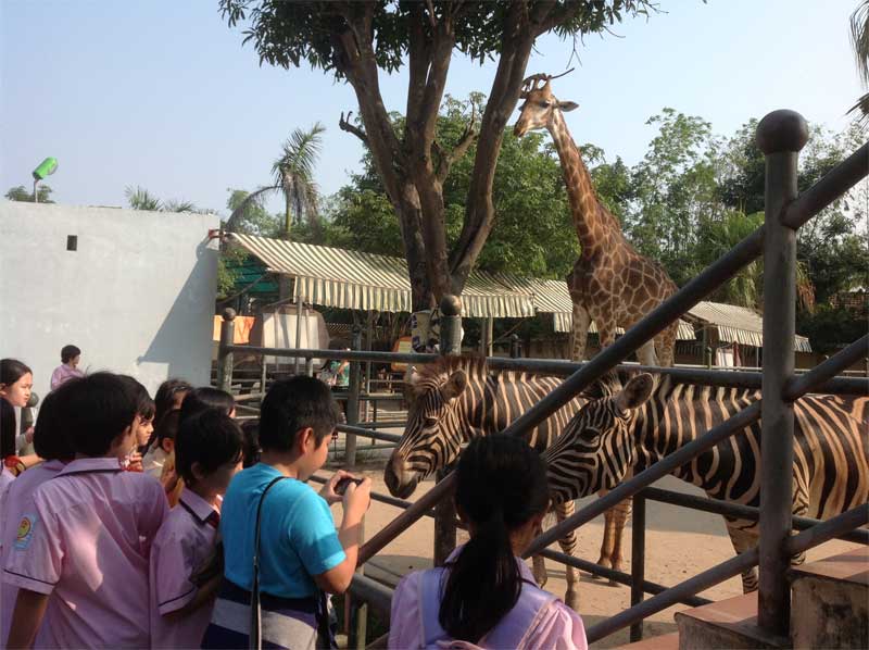 Tổ chức cho học sinh tham quan công viên Thiên đường Bảo Sơn.